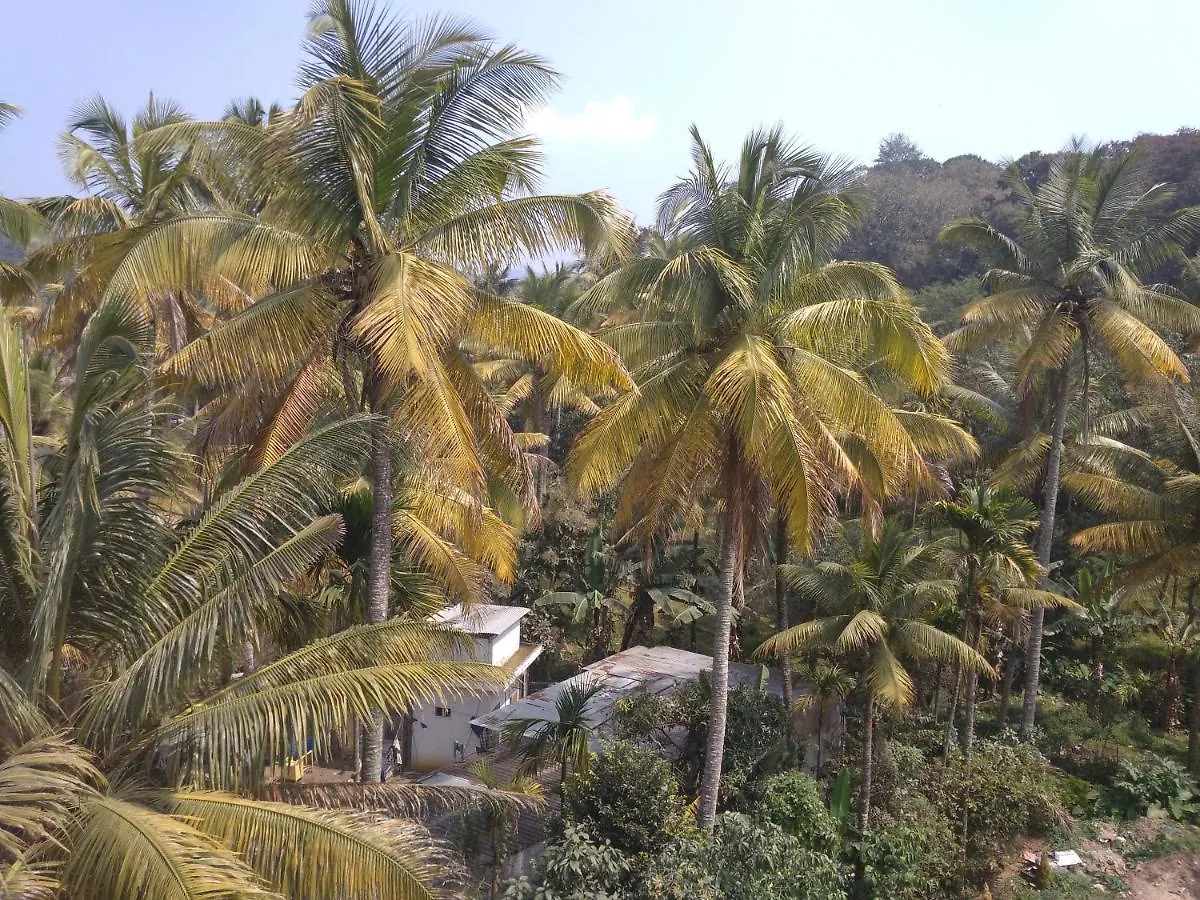 Highrange Plaza Bed & Breakfast Thekkady